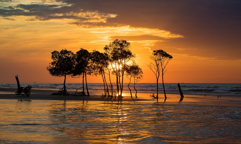Darwin-Northern-Territory-Sunset-Sky-Mangrove-Tropical-Horizon